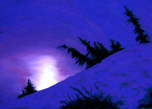 Landscapes